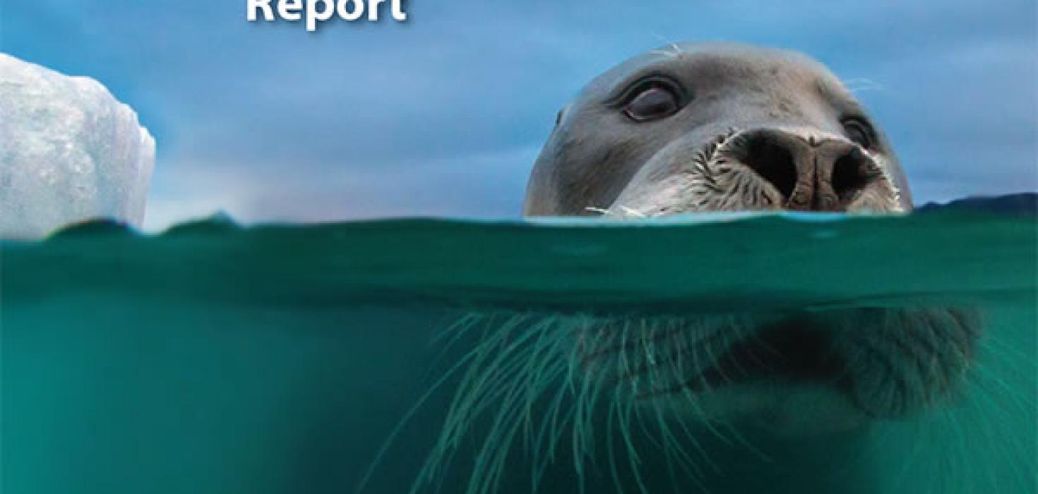 Kápa skýrslunnar „State of the Arctic Marine Biodiversity Report“ 
