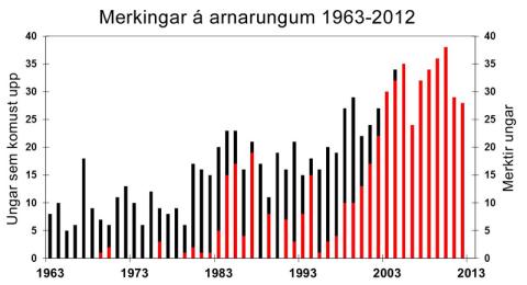 Merkingar á arnarungum 1963-2012