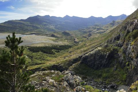 Stafafura í Steinadal, Suðursveit