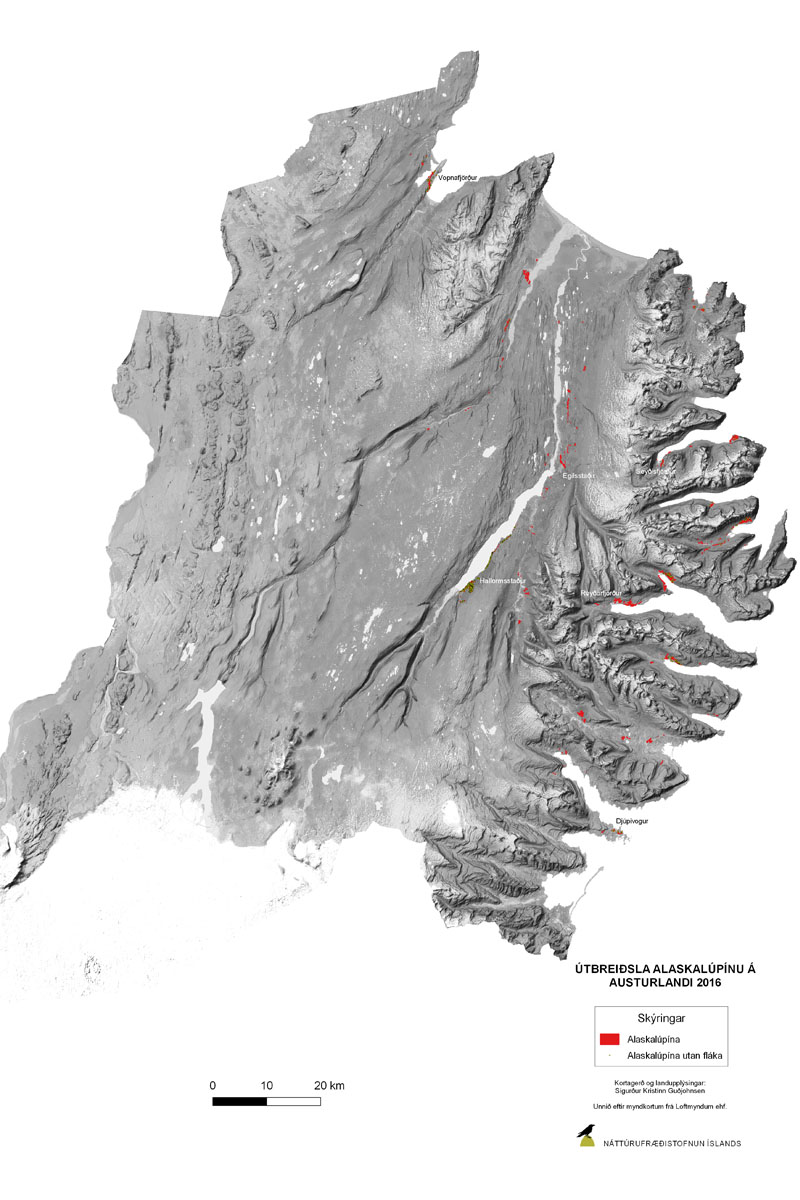 Útbreiðsla alaskalúpínu á Austurlandi árið 2016