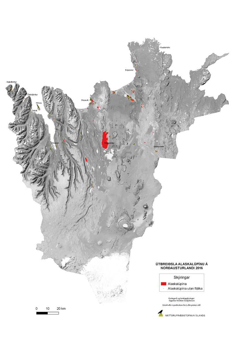 Útbreiðsla alaskalúpínu á Norðausturlandi árið 2016