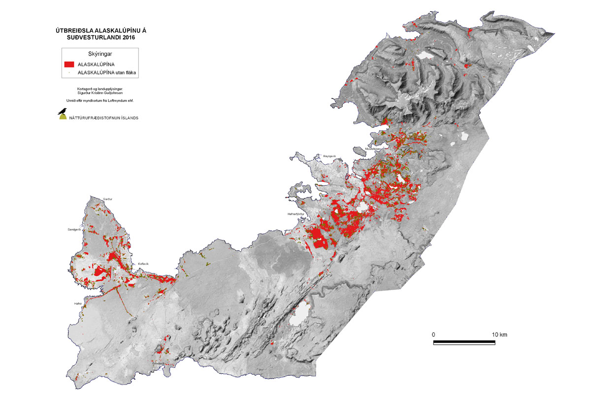 Útbreiðsla alaskalúpínu á Suðvesturlandi árið 2016