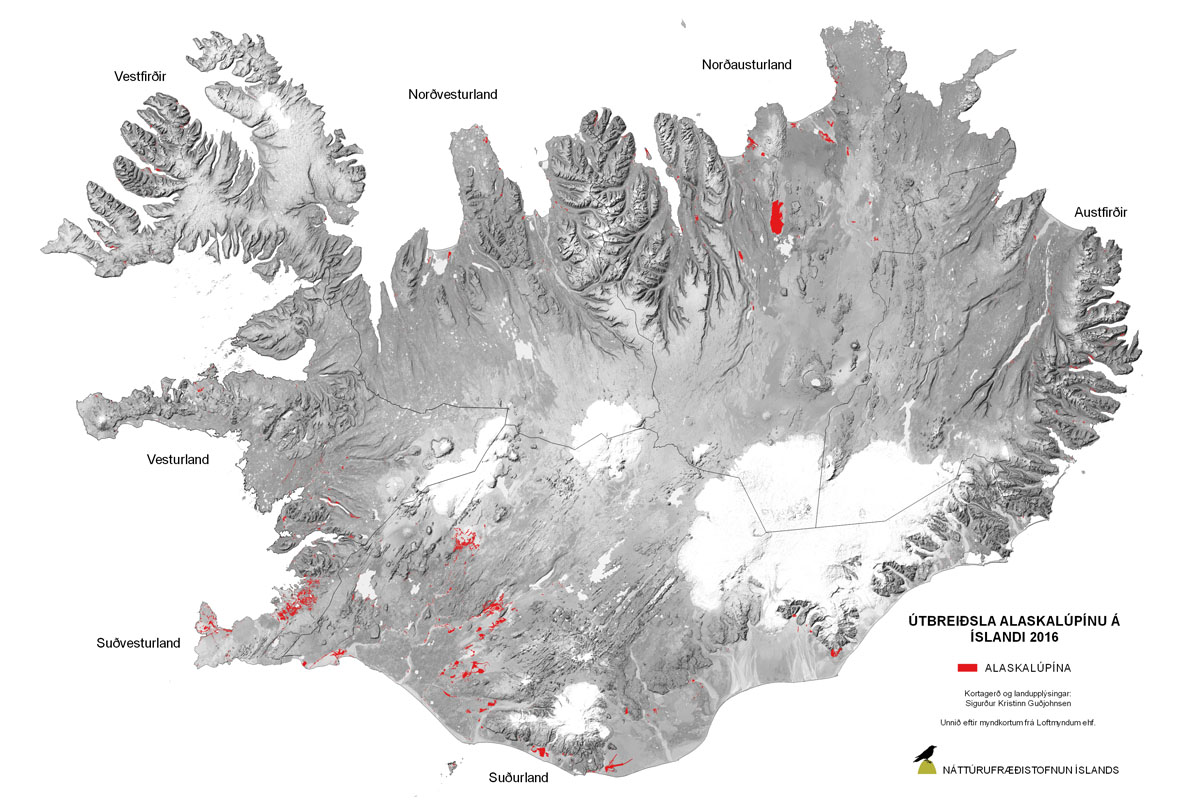 Útbreiðsla alaskalúpínu árið 2016