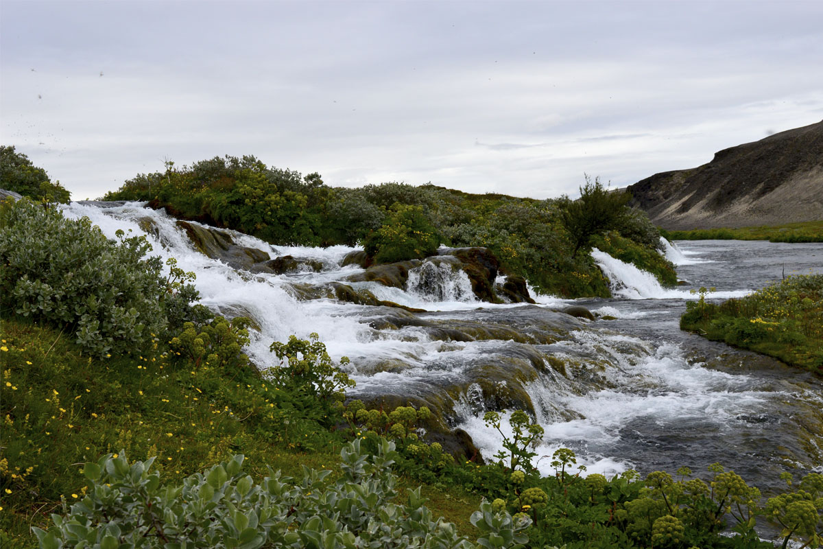 Fossabrekkur í Rangárbotnum er þar sem Ytri-Rangá kemur upp sem vatnsmikil lindá