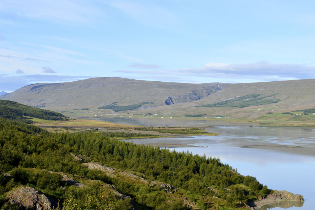 Suðvesturhluti Lagarfljóts í Fljótsdals