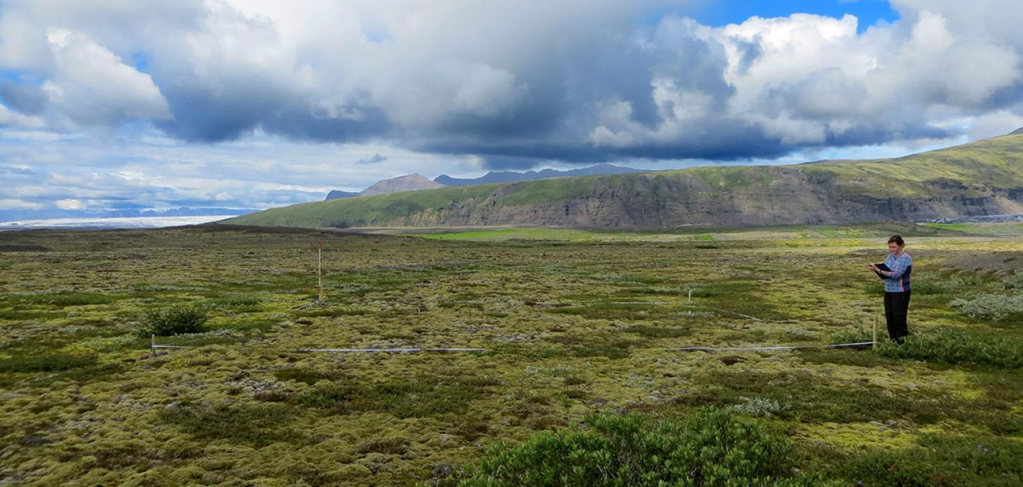 Gróðurmælingar í Skaftafelli sumarið 2018.