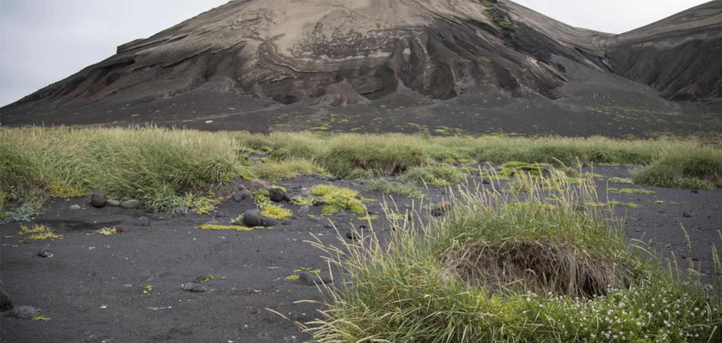 Surtsey í júlí 2020 Surtsey í júlí 2020