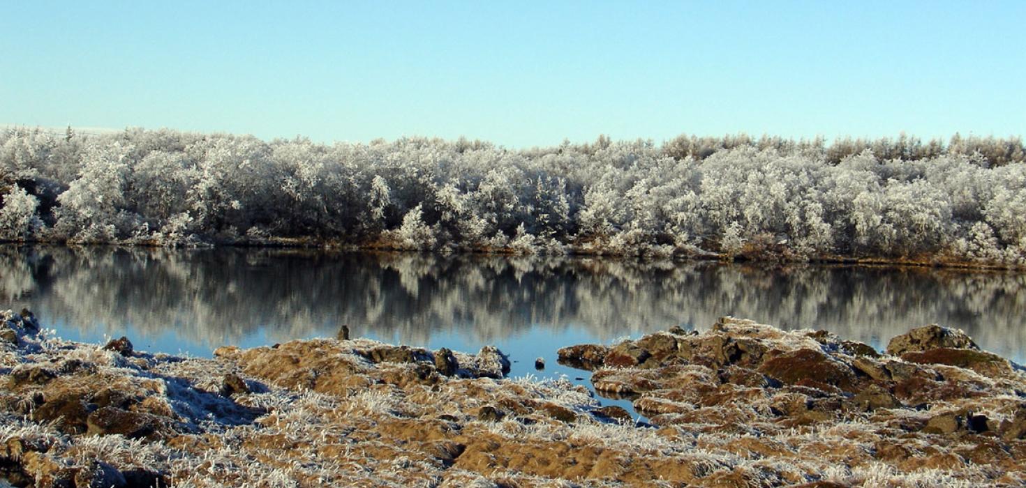 Við Mývatn Við Mývatn