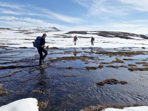 Við rannsóknir á Karupelvsvæðinu í NA-Grænlandi í júní 2023