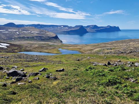 Hornstrandir.