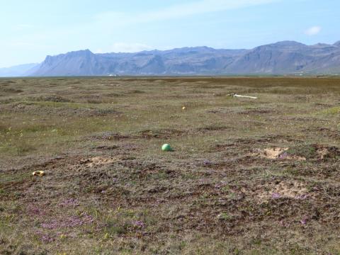 Skeljasandsengi