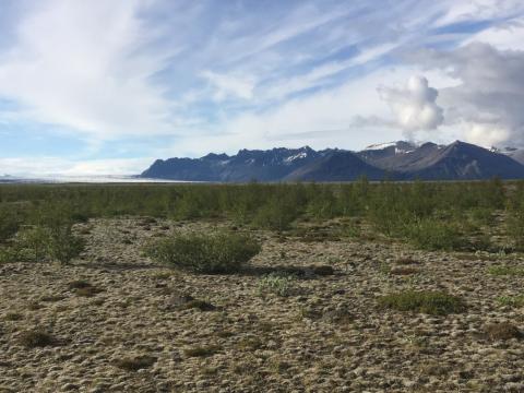 Skeiðarársandur