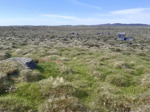 Fæðuleifar á refagrenjum rannsakaðar á Melrakkasléttu