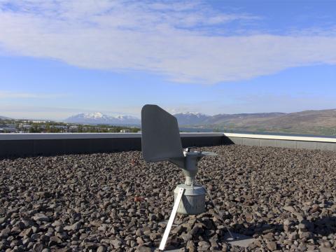 Frjógildra á þaki hússins Borga við Norðurslóð á Akureyri