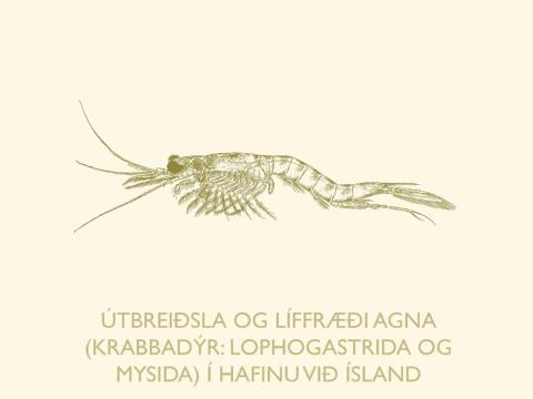Kápa Fjölrits Náttúrufræðistofnunar nr. 58 Kápa Fjölrits Náttúrufræðistofnunar nr. 58