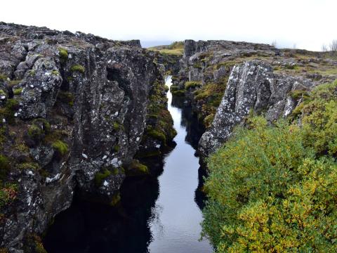 Frá Þingvöllum