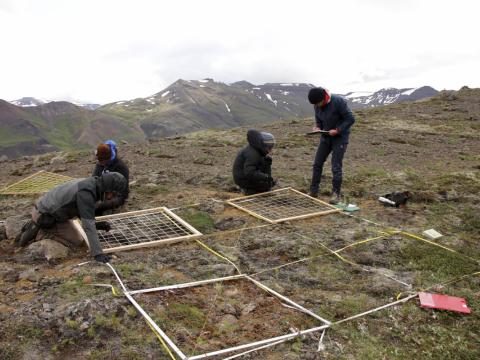 Vísindamenn við gróðurmælingar á Sjónarhóli nærri Hraunsvatni Vísindamenn við gróðurmælingar á Sjónarhóli nærri Hraunsvatni