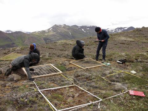 Vísindamenn við gróðurmælingar á Sjónarhóli nærri Hraunsvatni