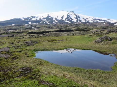 Snæfellsjökull, hraunbreiða, graslendi og stöðuvatn lýsa nokkrum vistgerðum á Íslandi