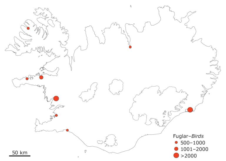 Staðir þar sem stórir hópar stelka hafa sést að vori og síðsumars Staðir þar sem stórir hópar stelka hafa sést að vori og síðsumars