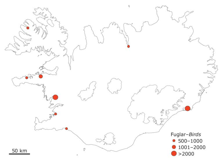 Staðir þar sem stórir hópar stelka hafa sést að vori og síðsumars