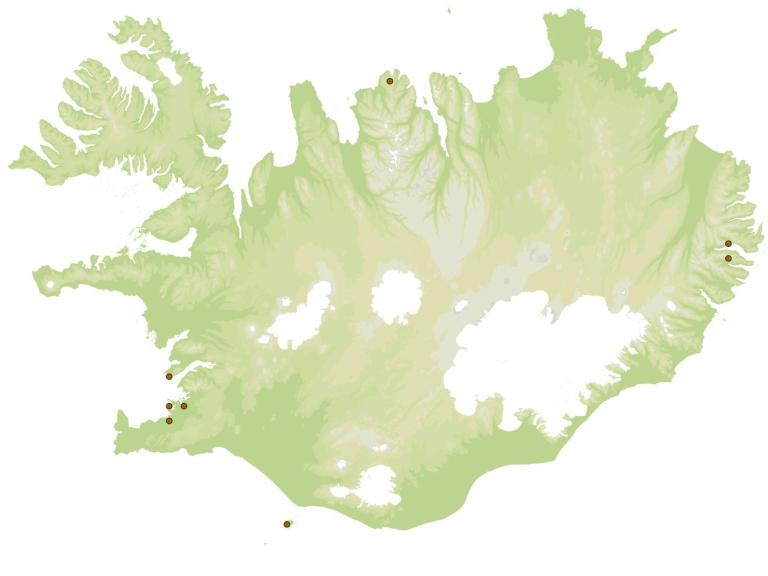 Veggjatítla (Anobium punctatum) - fundarstaðir samkvæmt eintökum í safni Náttúrufræðistofnunar Íslands