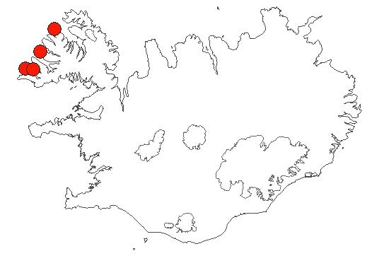 Map of Patreksfjörður-Djúp Location of area Patreksfjörður-Djúp in iceland