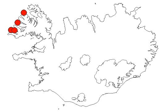 Location of area Patreksfjörður-Djúp in iceland