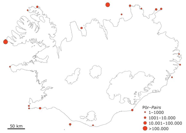 Álkubyggðir á Íslandi um 2007