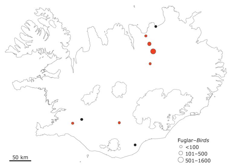 Helstu húsandarstaðir á Íslandi