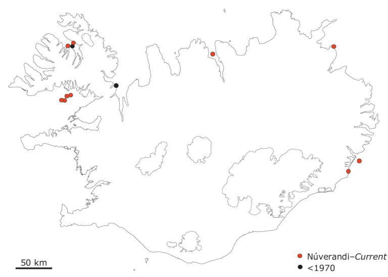 Stórar teistubyggðir (>100 pör) á Íslandi