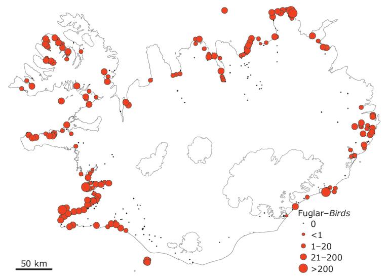 Meðaltal sendlinga á 10 km strandlengju