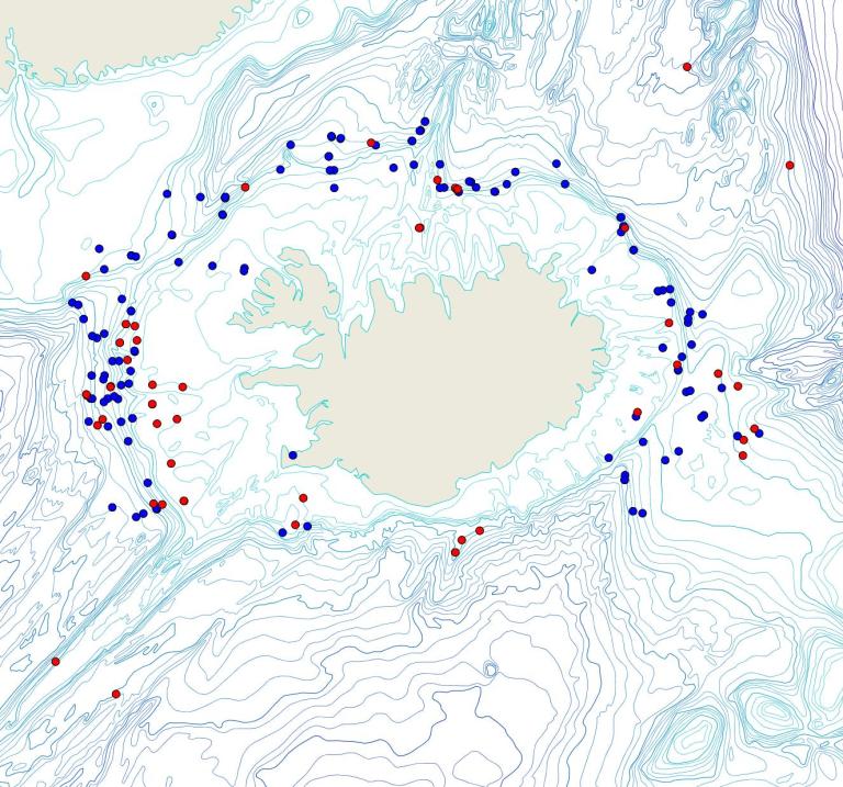 Útbreiðsla /distribution <em>Thenea sp.</em>. (Bioice samples red dots; MFRI samples blue dots)