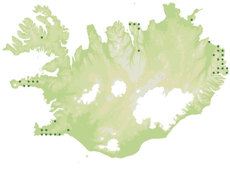 Útbreiðsla - Skógfjóla (Viola riviniana)