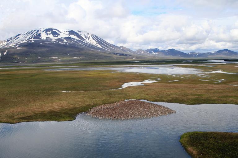 Eyjabakkar í Vatnajökulsþjóðgarði