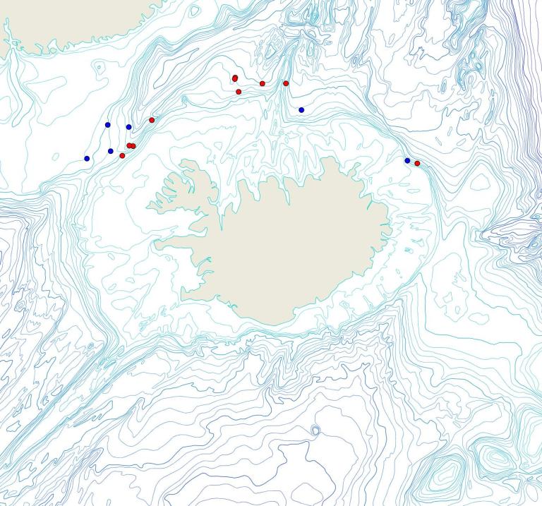 Útbreiðsla /distribution <em>Schaudinnia rosea</em>. (Bioice samples red dots; MFRI samples blue dots)