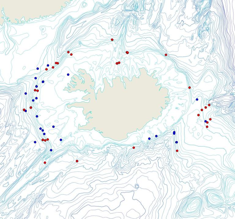 Útbreiðsla /distribution <em>Thenea levis</em>. (Bioice samples red dots; MFRI samples blue dots)
