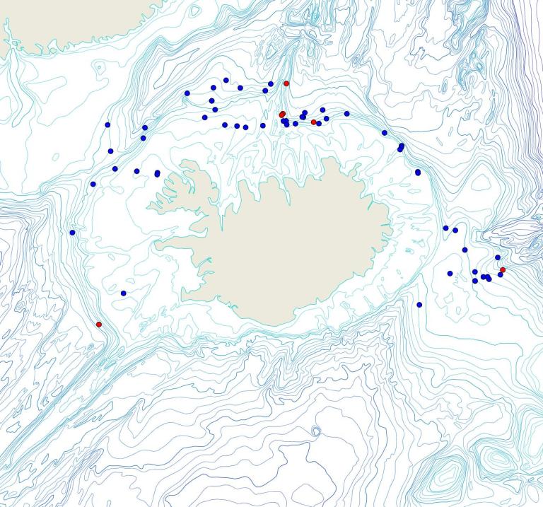Útbreiðsla /distribution <em>Polymastia thielei</em>. (Bioice samples red dots; MFRI samples blue dots)