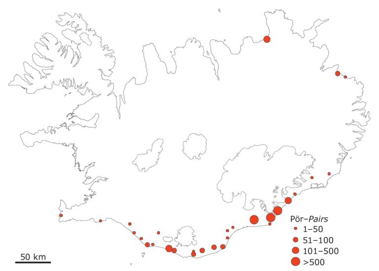 Skúmabyggðir á Íslandi 1984 og 1985