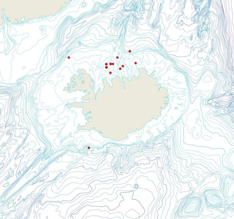 Útbreiðsla Corynoporella tenuis(Bioice samples, red dots)