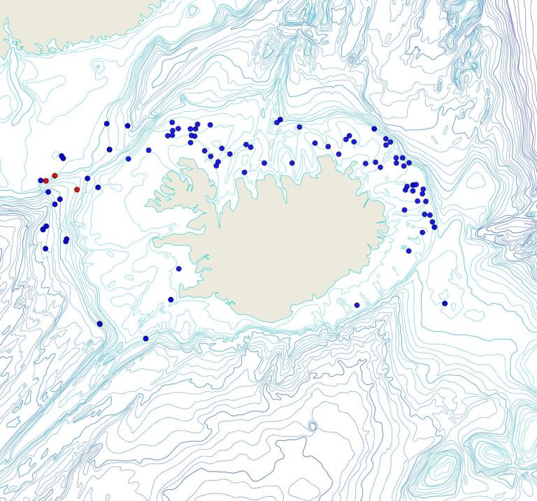 Útbreiðsla /distribution <em>Geodia barretti</em>. (Bioice samples red dots; MFRI samples blue dots)