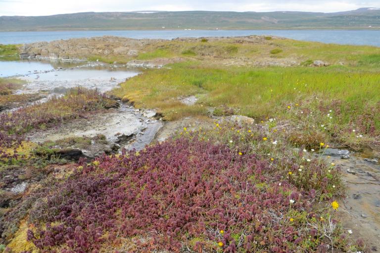 Frá Reykjanesi Frá Reykjanesi
