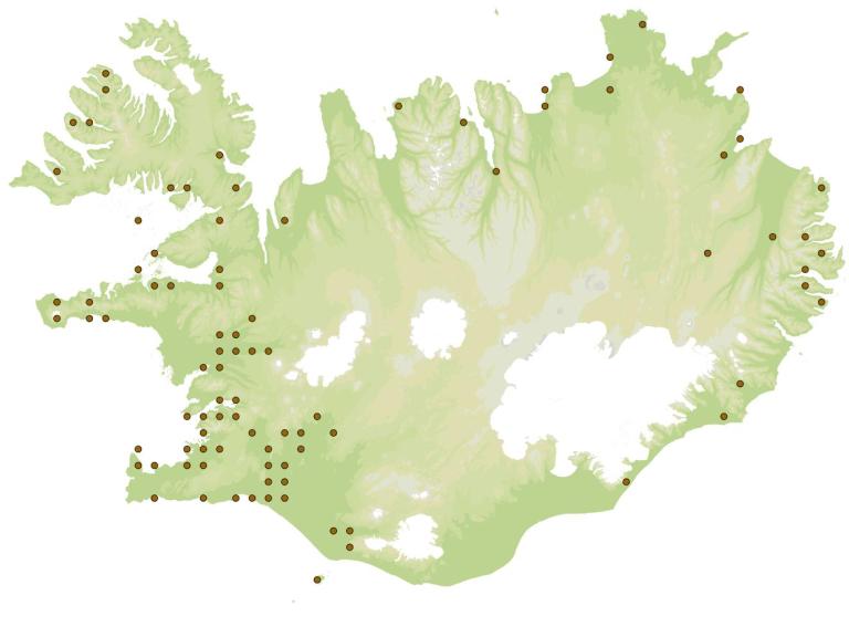 Húsþjófur (Ptinus tectus) - fundarstaðir samkvæmt eintökum í safni Náttúrufræðistofnunar Íslands