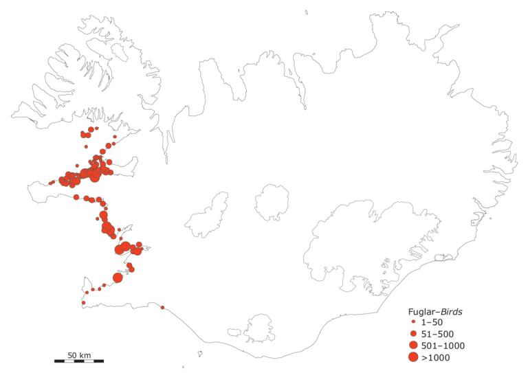 Meðaltal margæsa sem sást á hverjum stað um miðjan maí 1990−2010