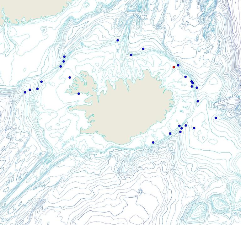 Útbreiðsla /distribution <em>Iophon sp.</em>. (Bioice samples red dots; MFRI samples blue dots)