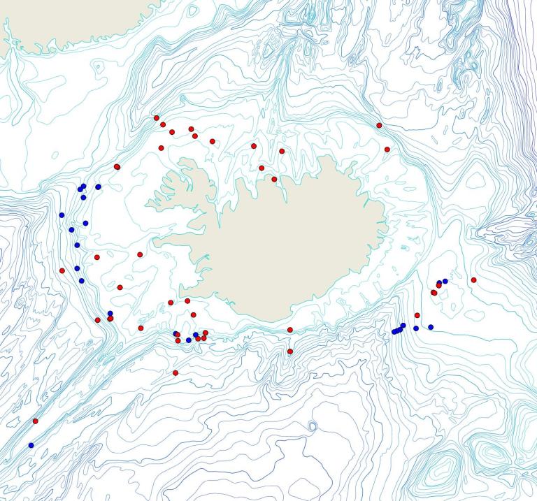 Útbreiðsla /distribution <em>Phakellia sp.</em>. (Bioice samples red dots; MFRI samples blue dots)