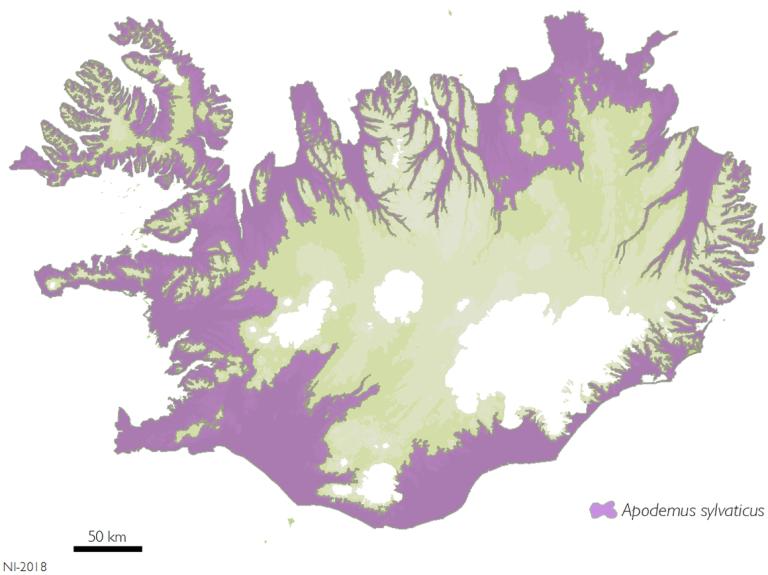 Útbreiðsla hagamúsar