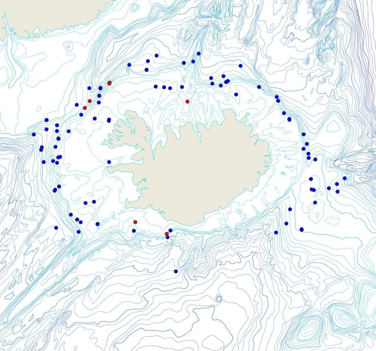 Útbreiðsla /distribution <em>Thenea muricata</em>. (Bioice samples red dots; MFRI samples blue dots)