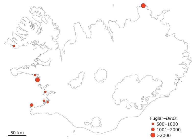 Staðir þar sem stórir sanderluhópar hafa sést að vorlagi