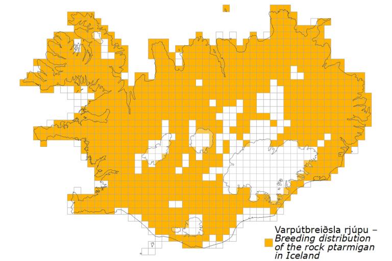 Varpútbreiðsla rjúpu Varpútbreiðsla rjúpu